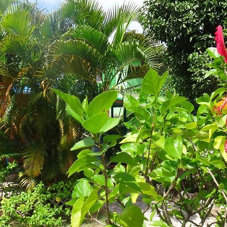 Hotel Posada Del Mar Fresh Water Bay Экстерьер фото